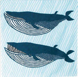 Kata Kata - Water repellent finish -  Fin whale  blue アクアドロップ ナガスクジラ ブルー (撥水加工) - Furoshiki   100 x 100 cm