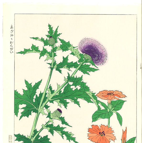 Kawarazaki Shodo - F46 Azami & Ganpy (Thistle) - Free Shipping ...